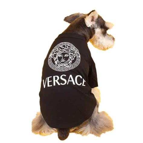 versace dog clothes|versace dog t shirt.